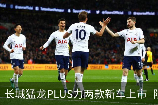 长城猛龙PLUS力两款新车上市 限时换新价17.78万元起